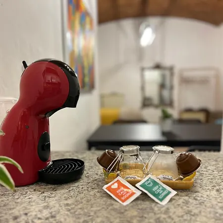 Loft Regina 164 * Турин