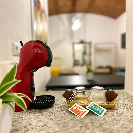 Loft Regina 164 דירה *